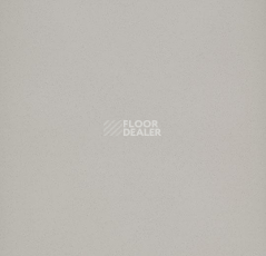 Линолеум Forbo Eternal Colour 40412 greige фото 1 | FLOORDEALER